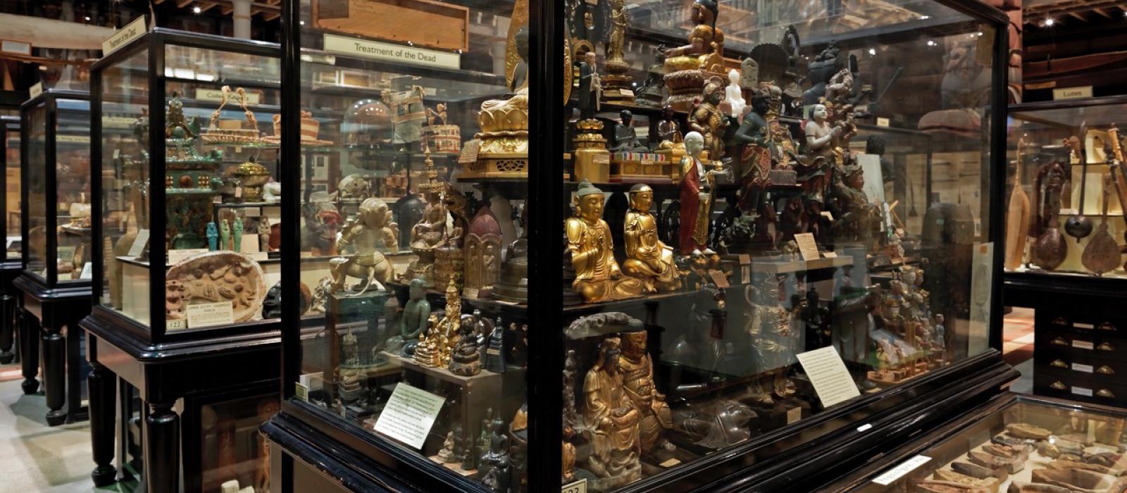 Display cases, Pitt Rivers Museum