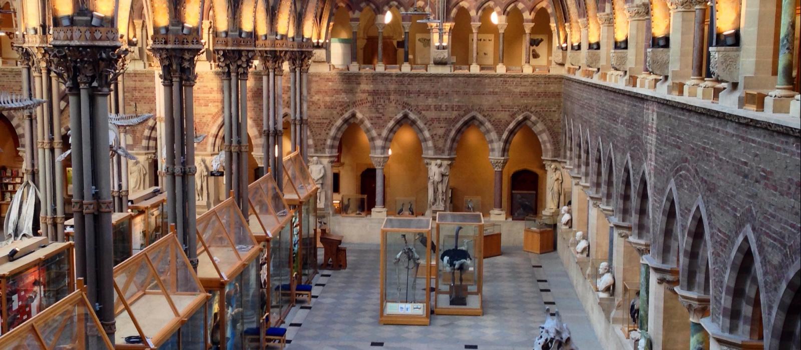 Skeleton Aisle, Museum of Natural History