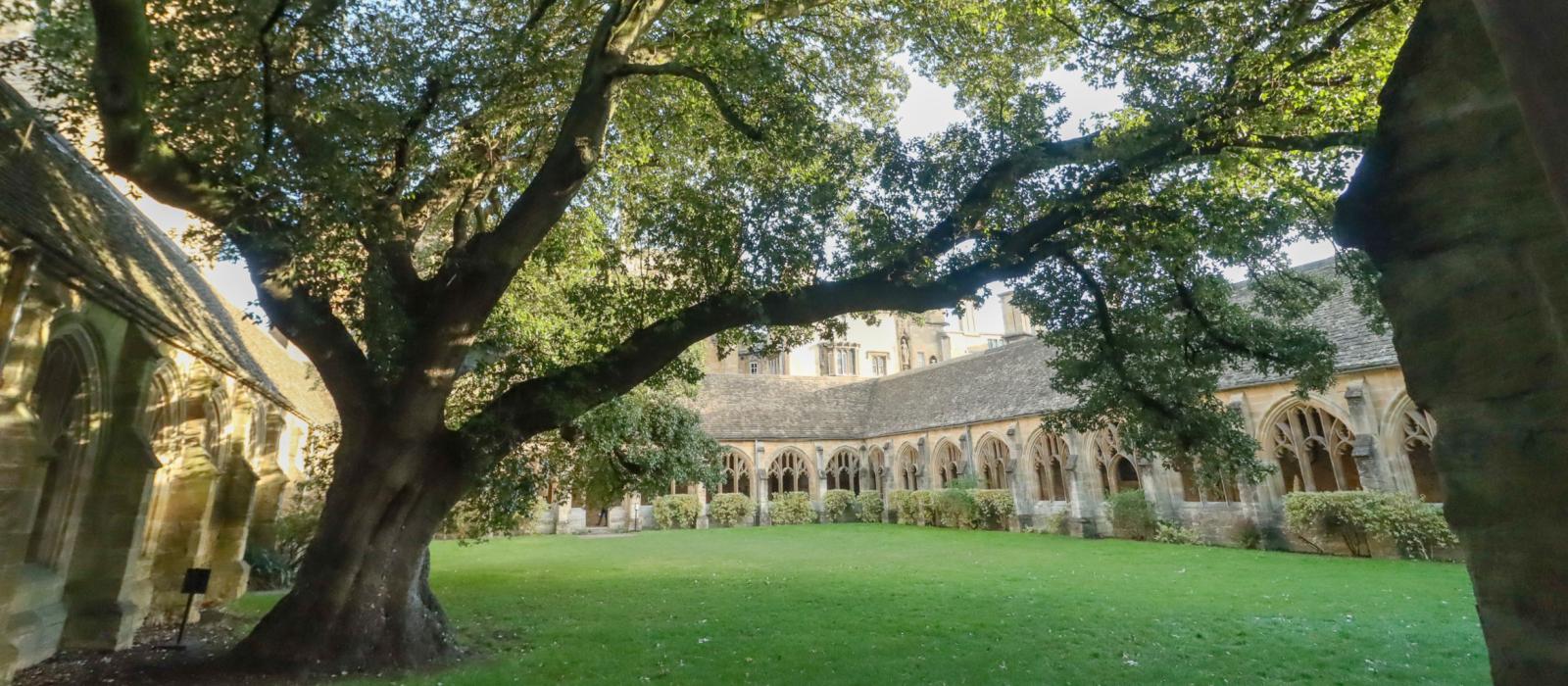 The Cloisters, New College