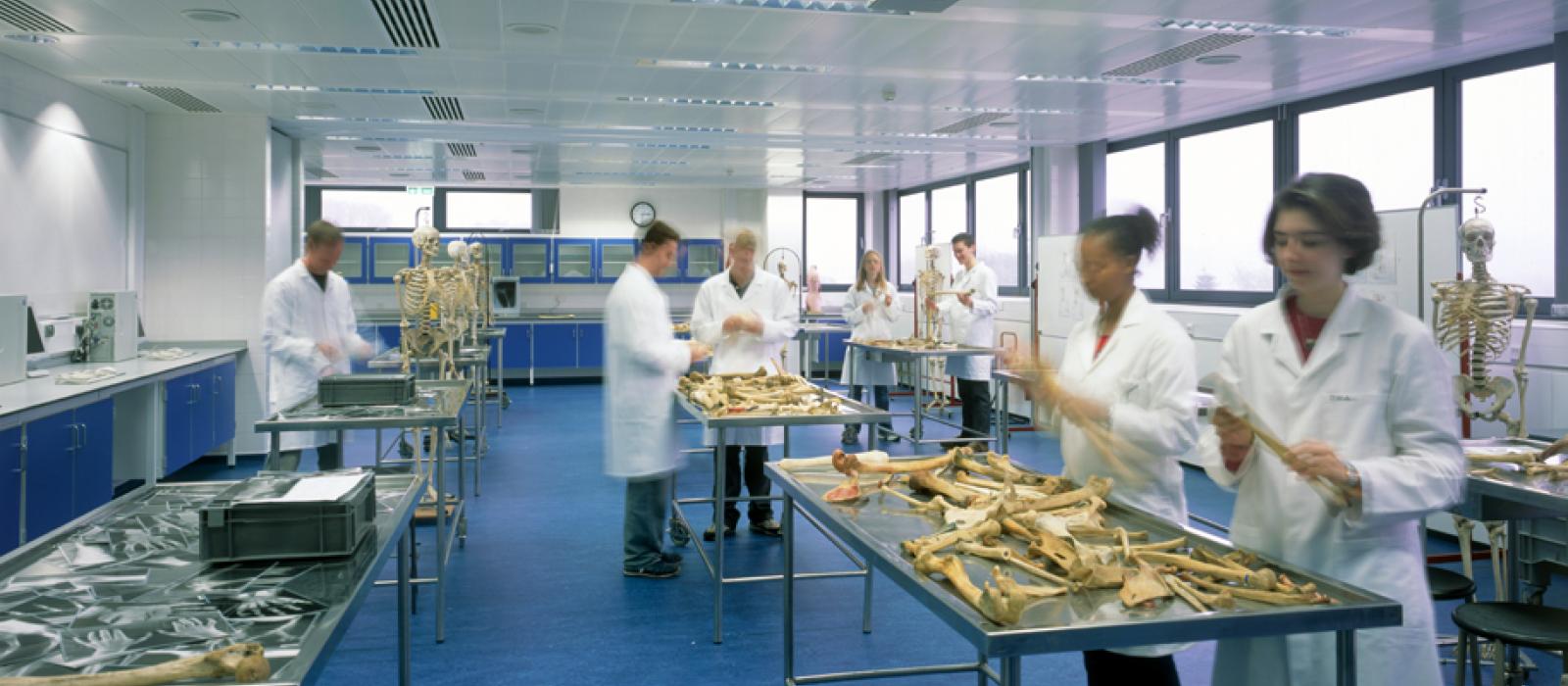 Dissecting Room, Medical Sciences Teaching Centre