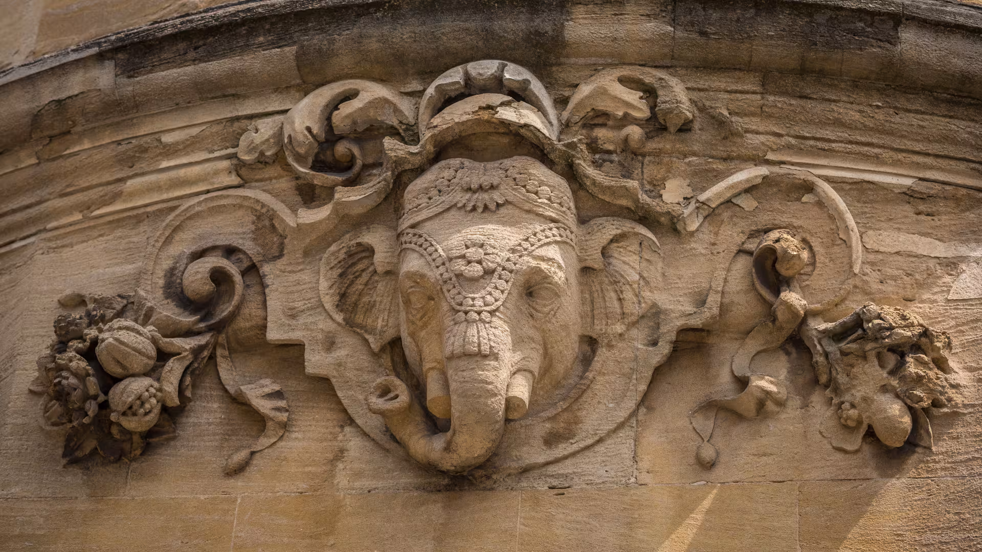 Architectural detail on the Oxford Martin School